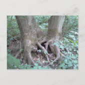 BRIEFKAART - AFBEELDING NATUUR (Voorkant)