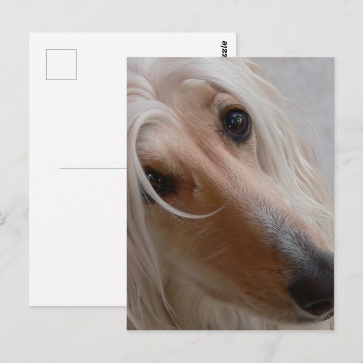 Briefkaart Afghaans pond (Voorkant / Achterkant)