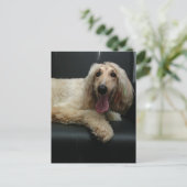 Briefkaart Afghaanse hond (Staand voorkant)