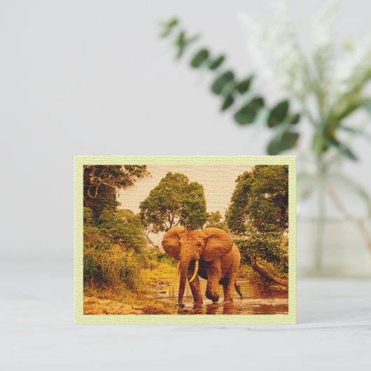 Briefkaart Afrikaanse olifant (Staand voorkant)
