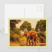  Briefkaart Afrikaanse olifant (Voorkant / Achterkant)