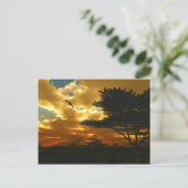 Briefkaart Afrikaanse planten (Staand voorkant)