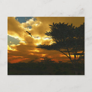 Briefkaart Afrikaanse planten