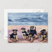 Briefkaart Airedale Puppies (Voorkant / Achterkant)