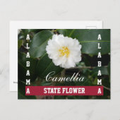 Briefkaart Alabama State Flower Camellia (Voorkant / Achterkant)