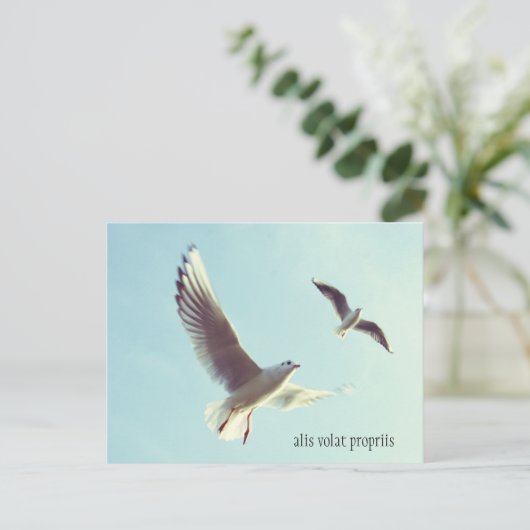 Briefkaart Alis Volat Propriis (Staand voorkant)