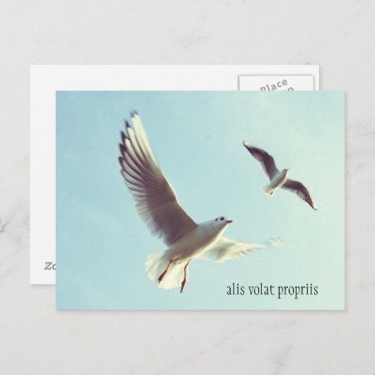 Briefkaart Alis Volat Propriis (Voorkant / Achterkant)