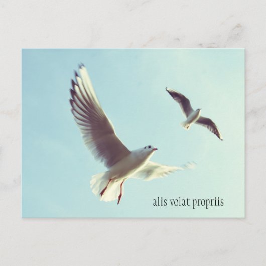 Briefkaart Alis Volat Propriis (Voorkant)