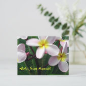 briefkaart "Aloha uit Hawaï" (Staand voorkant)