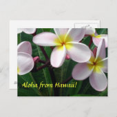 briefkaart "Aloha uit Hawaï" (Voorkant / Achterkant)