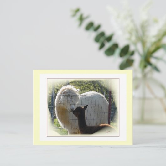 Briefkaart Alpaca Kisses (Staand voorkant)