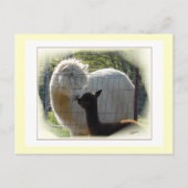 Briefkaart Alpaca Kisses (Voorkant)