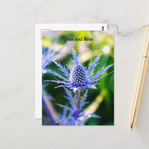 Briefkaart Alpen Mannstreu