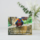 Briefkaart, als je niet de loden vogel bent, briefkaart (Staand voorkant)