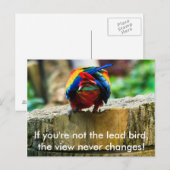 Briefkaart, als je niet de loden vogel bent, briefkaart (Voorkant / Achterkant)