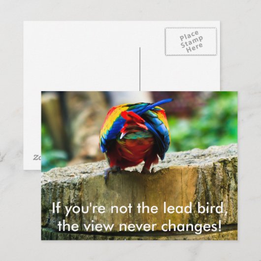 Briefkaart, als je niet de loden vogel bent, briefkaart (Voorkant / Achterkant)