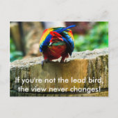 Briefkaart, als je niet de loden vogel bent, briefkaart (Voorkant)