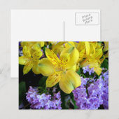 Briefkaart Alstroemeria en Lilacs Flowers (Voorkant / Achterkant)