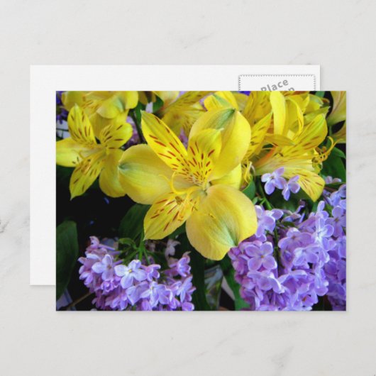 Briefkaart Alstroemeria en Lilacs Flowers (Voorkant / Achterkant)