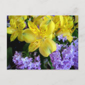 Briefkaart Alstroemeria en Lilacs Flowers (Voorkant)