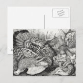 briefkaart "American Forest Game" (Voorkant / Achterkant)