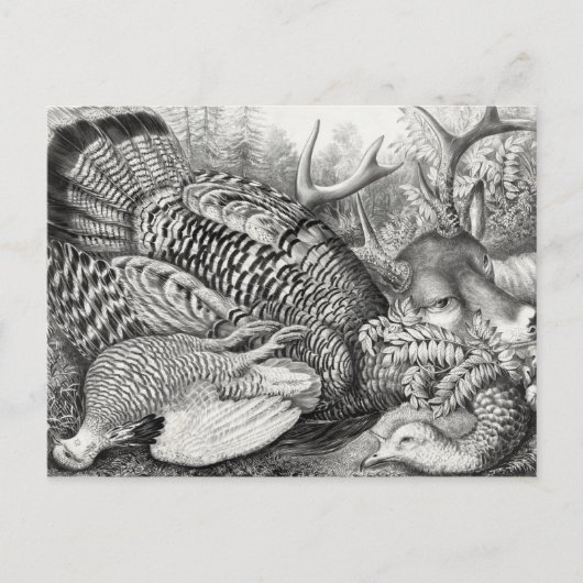 briefkaart "American Forest Game" (Voorkant)