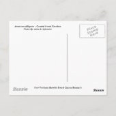 BRIEFKAART Amerikaans KrokodilleNoord-Carolina (Achterkant)