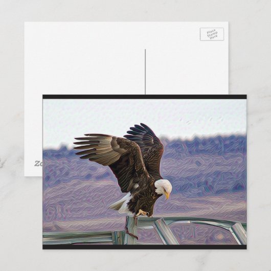 Briefkaart Amerikaanse Bald Eagle (Voorkant / Achterkant)