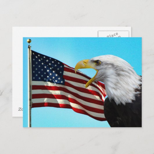 Briefkaart Amerikaanse vlag en Bald Eagle (Voorkant / Achterkant)