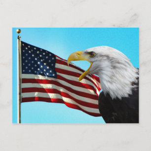 Briefkaart Amerikaanse vlag en Bald Eagle