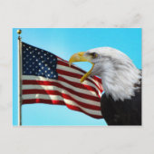 Briefkaart Amerikaanse vlag en Bald Eagle (Voorkant)