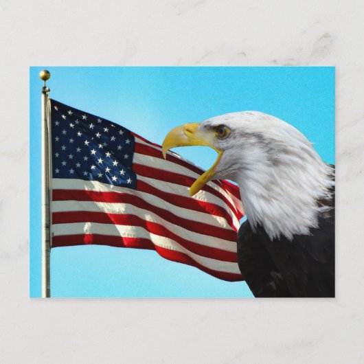 Briefkaart Amerikaanse vlag en Bald Eagle (Voorkant)