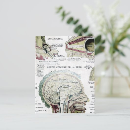  Briefkaart Anatomie (Staand voorkant)