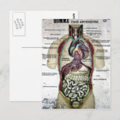  Briefkaart Anatomie (Voorkant / Achterkant)