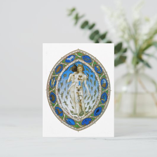 Briefkaart: Anatomisch Man Briefkaart (Staand voorkant)