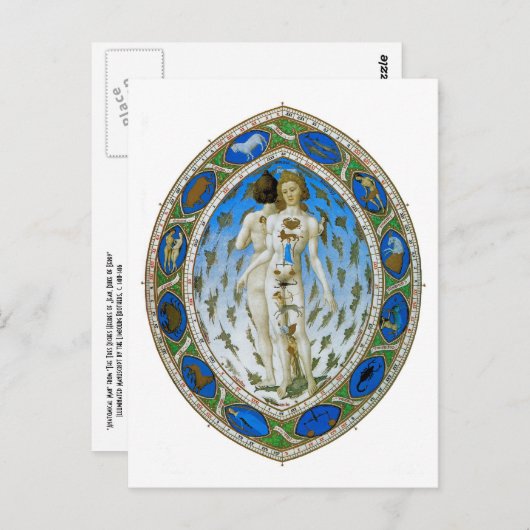 Briefkaart: Anatomisch Man Briefkaart (Voorkant / Achterkant)