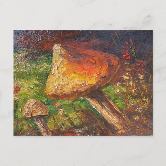 Briefkaart Ann Hayes Schilderpaddenstoel (Voorkant)
