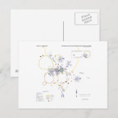 Briefkaart Apollo 11 foto-plattegrond (Voorkant / Achterkant)