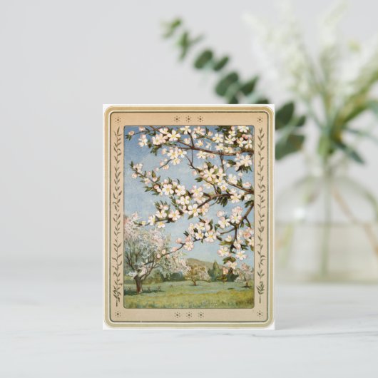 Briefkaart - Apple Blossom (Staand voorkant)