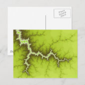 Briefkaart Apple Tree Roots (Voorkant / Achterkant)