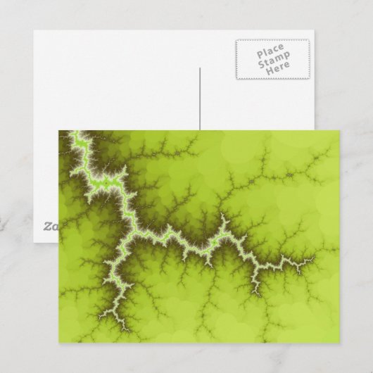 Briefkaart Apple Tree Roots (Voorkant / Achterkant)