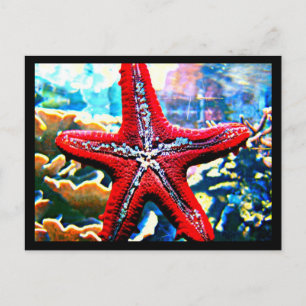 Briefkaart-Aquatic Gallery-27 Briefkaart