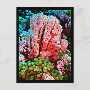 Briefkaart-Aquatische Galerij-7 Briefkaart