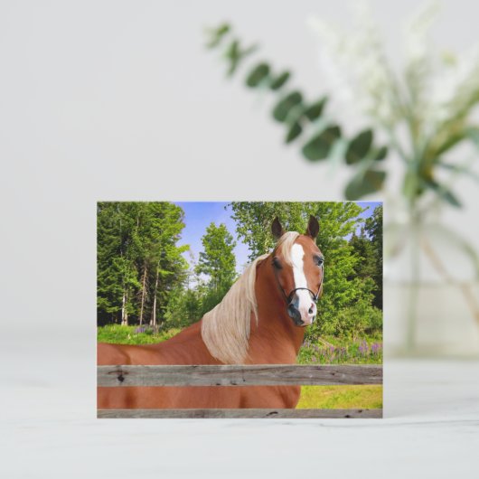 briefkaart "Arbella" (Staand voorkant)