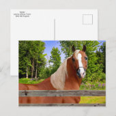 briefkaart "Arbella" (Voorkant / Achterkant)