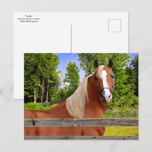 briefkaart "Arbella" (Voorkant / Achterkant)