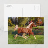 briefkaart "Arbella & Butch" (Voorkant / Achterkant)