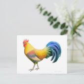Briefkaart Ardenner Rooster (Staand voorkant)