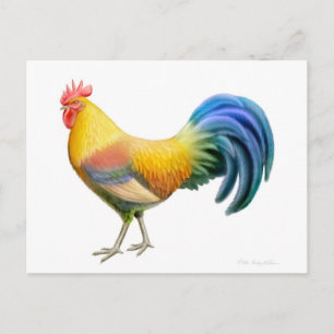 Briefkaart Ardenner Rooster