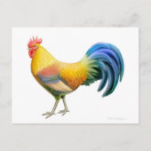Briefkaart Ardenner Rooster (Voorkant)